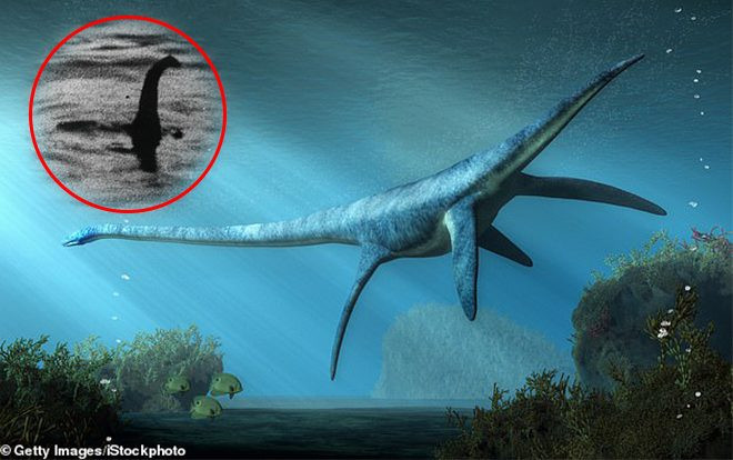 Phát hiện 'quái vật hồ Loch Ness ngoài đời thực' hơn 70 triệu năm Ảnh 2