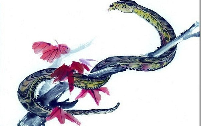 5 con giáp khổ trước sướng sau, sau 35 tuổi vận may ào ạt, tiền của chất đầy nhà Ảnh 2