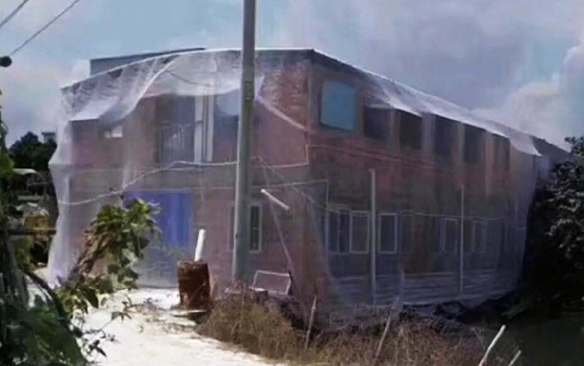 Thấy muỗi bay vào nhà quá nhiều, giả chủ thực hiện kế sạch 'cực mặn' khiến nhiều người choáng váng Ảnh 2