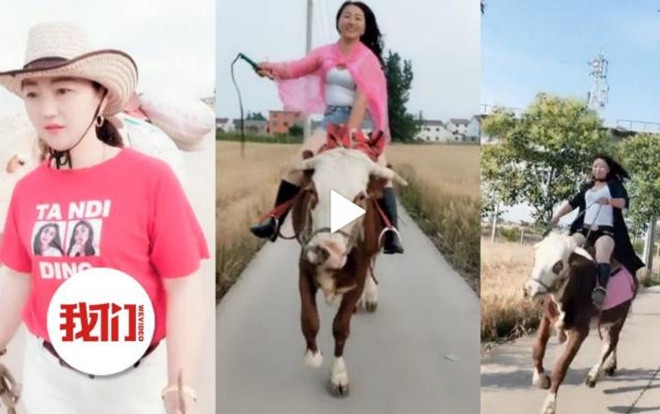 Không có tiền mua ngựa, cô gái học cưỡi bò gây sốt MXH Ảnh 2