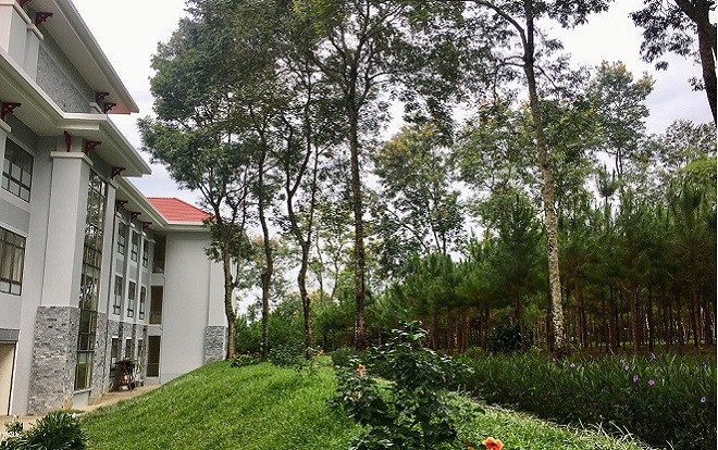 Lạc vào khuôn viên xanh mướt của Đại học Tôn Đức Thắng cơ sở Bảo Lộc, quanh năm hoa đua nở khoe sắc Ảnh 2