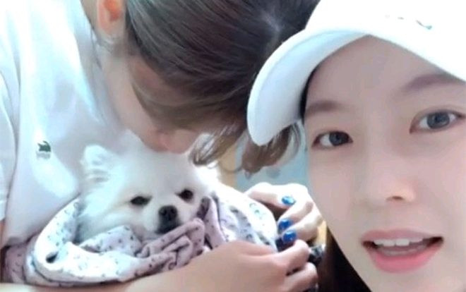 Jeongyeon bật khóc trong concert của TWICE vì thương chó cưng Ảnh 2