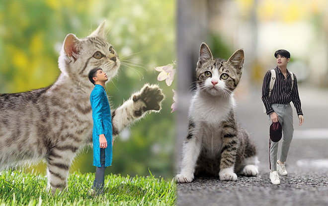 Noo Phước Thịnh khen fan photoshop giỏi nhưng ai ngờ nhận ngay cái kết… không thể 'lầy' hơn Ảnh 2