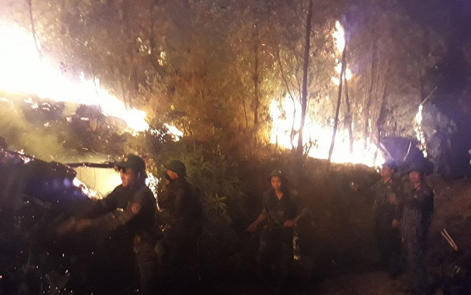 Gần nghìn người trắng đêm dập lửa, cứu rừng thông ở Nghệ An Ảnh 2