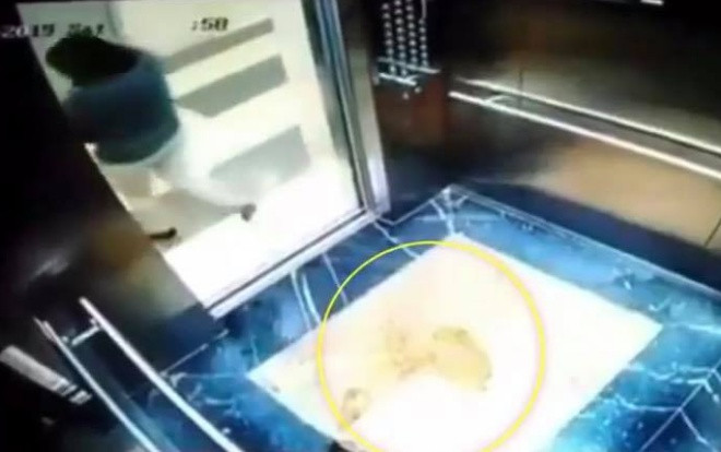 Hai phụ nữ lấy mũ bảo hiểm bịt camera rồi đi vệ sinh trong thang máy chung cư bị phạt 2 triệu đồng Ảnh 2