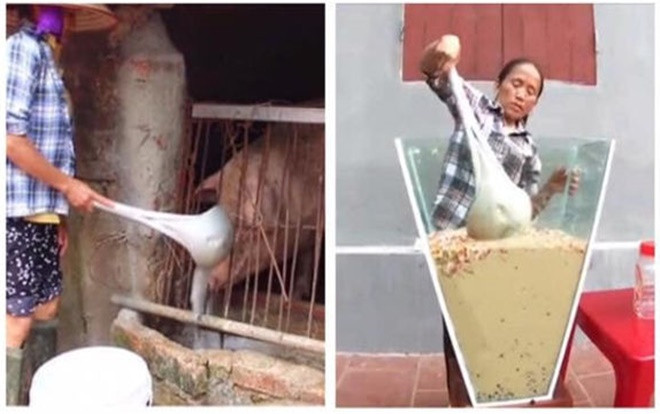 Xuất hiện thông tin 'đính chính' về nghi vấn bà Tân Vlog dùng chiếc muôi cho lợn ăn để khuấy trà sữa Ảnh 2