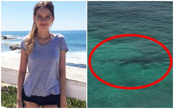 Giây phút cô gái bị 3 cá mập hổ tấn công tới chết khi đang lặn biển Ảnh 2