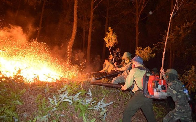 Tạm giữ đối tượng nghi gây ra vụ cháy rừng thông lớn nhất Hà Tĩnh Ảnh 2