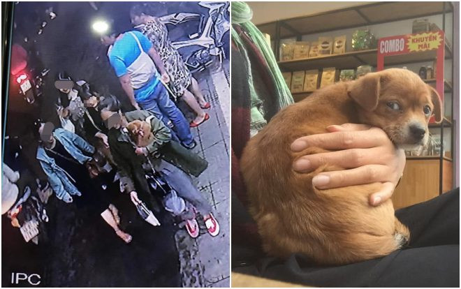 Thực hư câu chuyện chủ quán cafe Đà Lạt kêu gọi tìm chó cưng bị khách du lịch 'cầm nhầm' gây xôn xao Ảnh 2