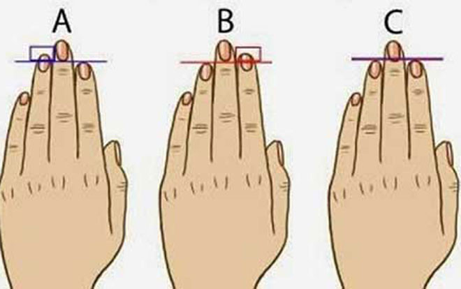 So sánh độ dài ngón tay áp út với ngón trỏ, biết ngay ai làm thuê, ai có tướng làm lãnh đạo Ảnh 2