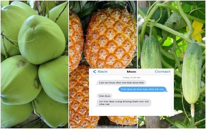 Tranh cãi cực mạnh: Mẹ nhắn tin không dấu nhờ mua 'trai dua', cư dân mạng thi nhau đoán là 'Dứa, Dưa hay Dừa'? Ảnh 2
