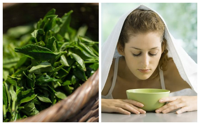 Top 5 cách trị mụn chống lão hóa và trắng da với lá trà xanh mà cô gái nào cũng cần lưu lại Ảnh 2