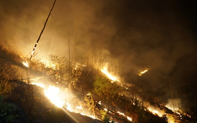 Cháy rừng Nghệ An lan sang Hà Tĩnh, huy động 250 người dập lửa xuyên đêm Ảnh 2