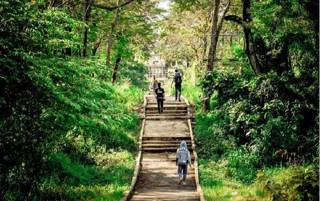 Theo chân các sinh viên Đại học Nông Lâm TP.HCM, 'đổ mồ hôi' với con đường đi học mỗi ngày nằm trong khuôn viên gần 120 ha Ảnh 2