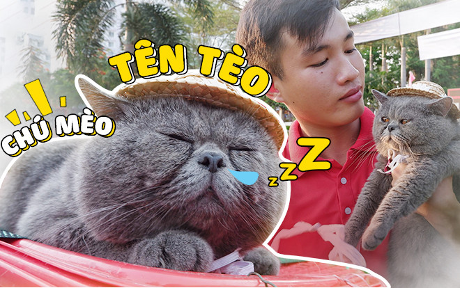 Chuyện chú mèo tên Tèo biết theo chân chủ đi chạy xe ôm kiếm tiền khắp Sài Gòn Ảnh 2