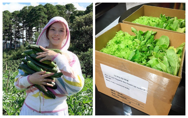 Nhà siêu giàu nhưng Lý Nhã Kỳ vẫn thích bỏ hết tất cả để về quê trồng rau tặng bạn bè Ảnh 2