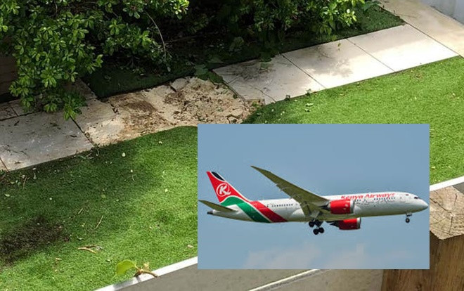 Kinh hãi thi thể rơi từ máy bay suýt trúng người đàn ông đang tắm nắng trong vườn Ảnh 2
