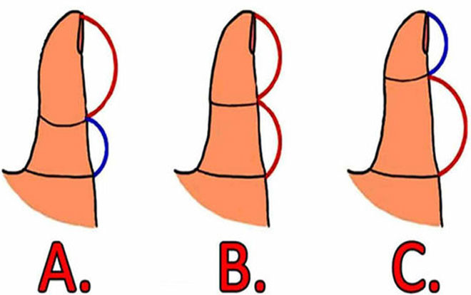 So sánh độ dài 2 đốt ngón tay cái biết ngay tính cách, đường tình duyên lận đận hay suôn sẻ Ảnh 2