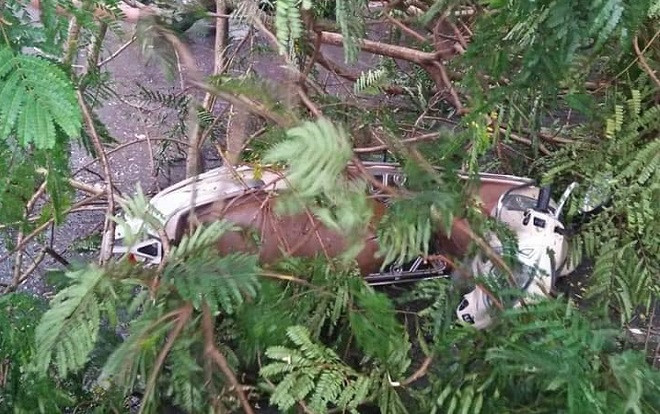 Cây phượng bất ngờ đổ giữa mưa gió lớn ở hồ Tây, người đàn ông nhập viện cấp cứu Ảnh 2