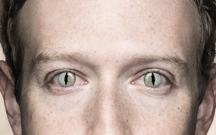 CEO Facebook bị nghi là 'thằn lằn đội lốt người', mưu đồ bá vương Ảnh 2