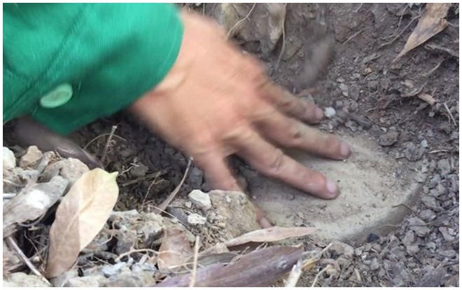 Vụ 300 xác thai nhi trong nhà máy rác Cà Mau: Mẫu giám định trong hũ sành là xương người Ảnh 2