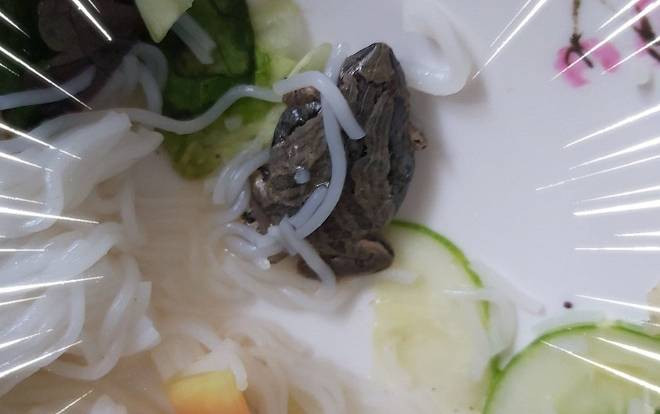 Nữ sinh được phen 'nôn thốc nôn tháo' khi tá hỏa phát hiện…ễnh ương nằm trong tô bún đang ăn dở chừng Ảnh 2