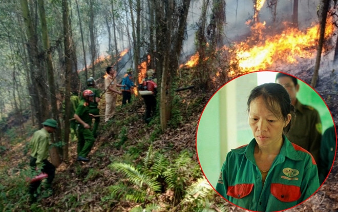 Khởi tố người phụ nữ đốt cỏ dẫn đến cháy rừng kinh hoàng ở Hà Tĩnh Ảnh 2