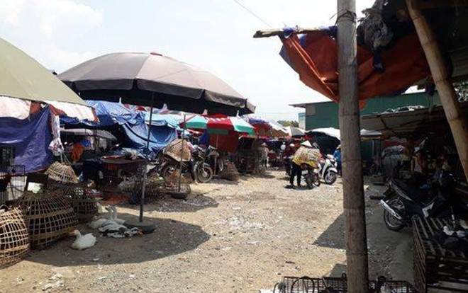 Công an Điện Biên thực nghiệm điều tra vụ cô gái giao gà chiều 30 Tết bị sát hại Ảnh 2