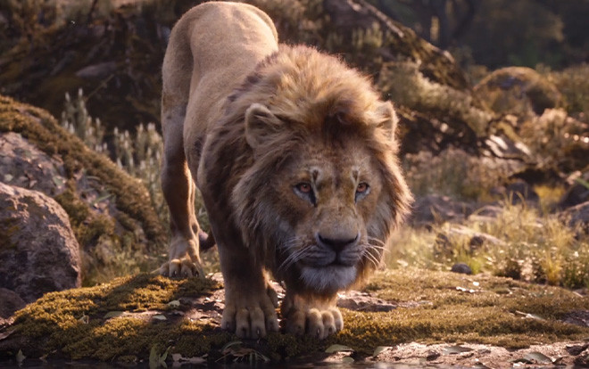 'The Lion King': Sự trở lại đầy ấn tượng mà vẹn nguyên xúc cảm sau 25 năm của Vua Sư Tử Ảnh 2