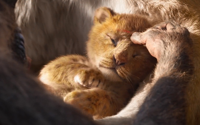 'The Lion King' 2019: Hành trình bi tráng và chân thực bật nhất Ảnh 2