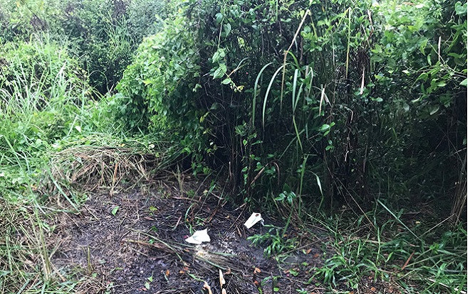 Đi hái rau trong vườn mai, người phụ nữ tá hỏa phát hiện bộ xương người Ảnh 2