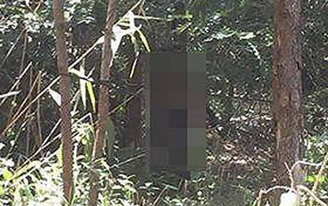 Vào rừng hái măng, phát hiện thi thể người đàn ông đang phân hủy trong tư thế treo cổ Ảnh 2