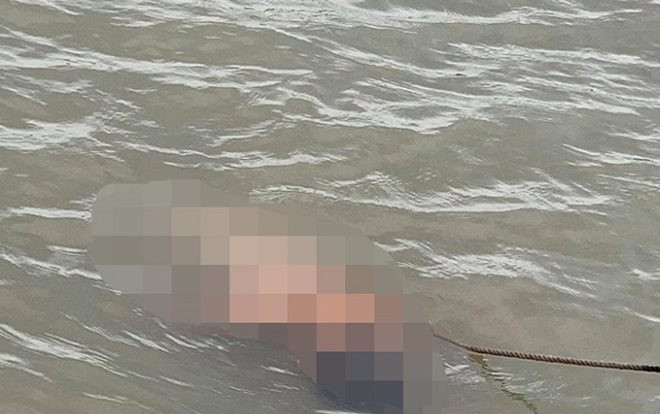 Bàng hoàng phát hiện thi thể bé trai nổi trên sông Cấm ở Hải Phòng Ảnh 2