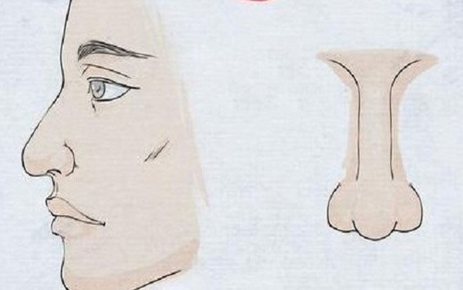 Sở hữu tướng mũi này, bạn là bậc 'kỳ tài trong thiên hạ', tài vận hanh thông không ai sánh bằng Ảnh 2