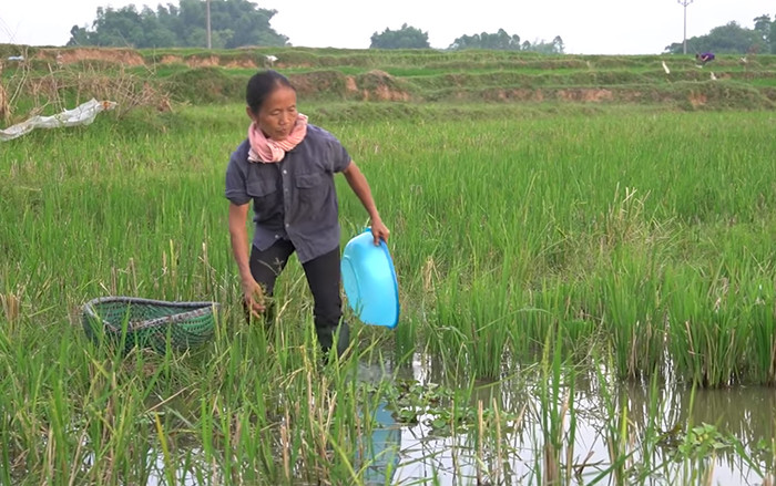 Bà Tân Vlog khiến dân mạng phát cuồng vì cách làm Vlog mới Ảnh 2