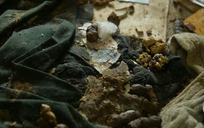 Hãi hùng trước căn nhà ngập ngụa rác, không hề lau dọn suốt 5 năm trời Ảnh 2