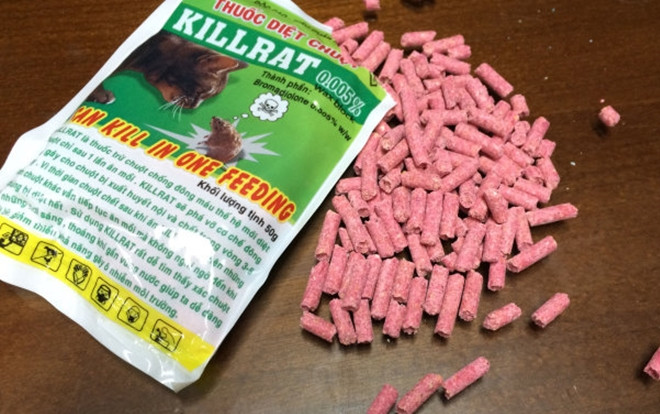 Ăn nhầm thuốc diệt chuột, bé gái ở Nghệ An tử vong thương tâm Ảnh 2