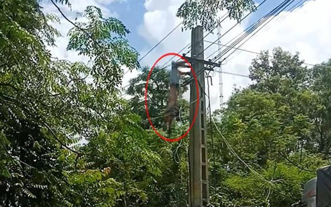 Gỡ dây điện vướng trên nóc thùng xe, tài xế ô tô tải bị điện giật treo lơ lửng Ảnh 2