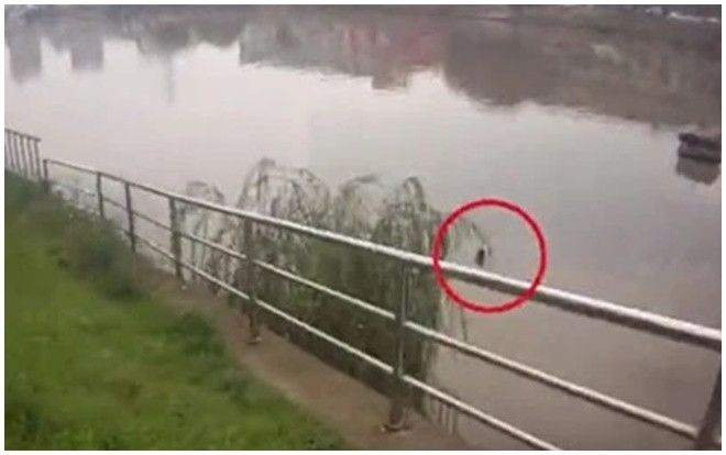 Thấy bà cụ nhảy xuống sông, người qua đường lập tức báo cảnh sát tới cứu nhưng sự thật khiến mọi người 'ngã ngửa' Ảnh 2