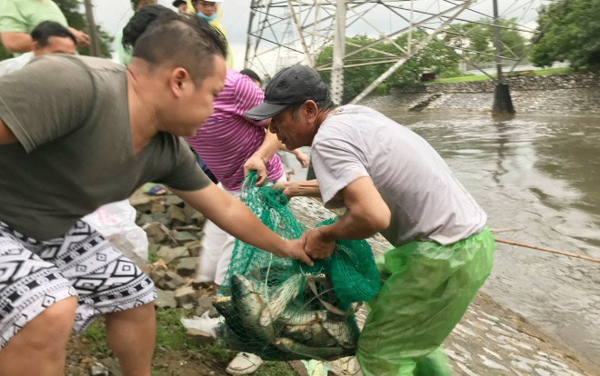 Người Hà Nội mang vó, buông cần câu ra sông đánh bắt hàng chục cân cá sau bão số 3 Ảnh 2