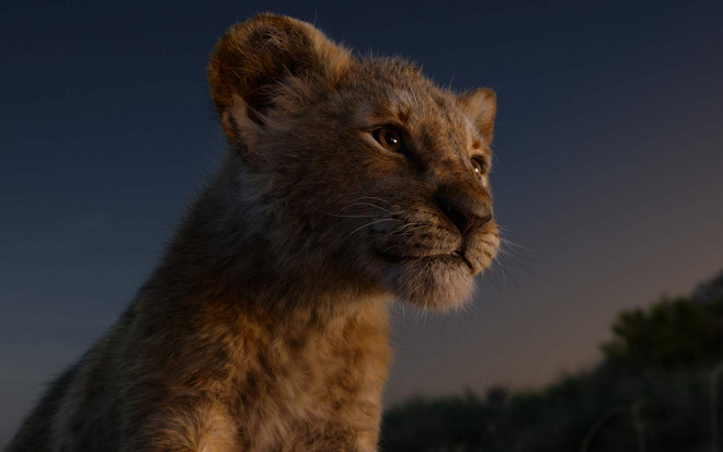 'The Lion King' thu 1 tỷ USD nhưng Disney không thể đi đường dài nếu tiếp tục làm phim như vậy! Ảnh 2