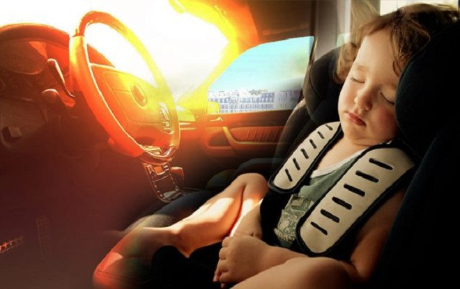 Điều gì xảy ra với cơ thể con người khi bị bỏ lại trong xe hơi thời gian dài? Ảnh 2