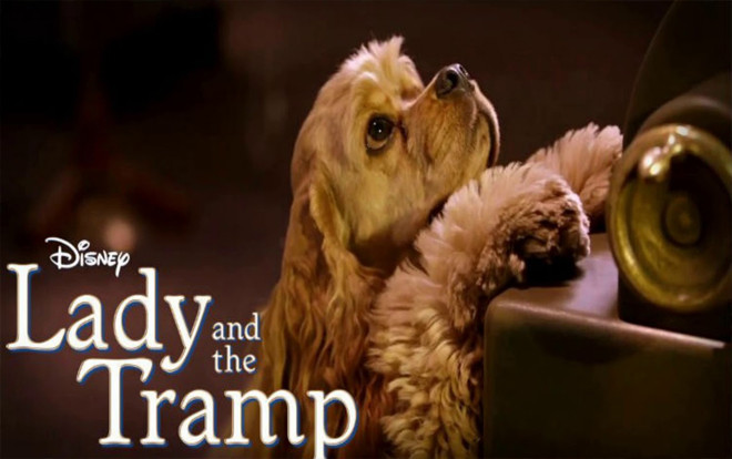 Tiểu thư và chàng Lang Thang: Loạt ảnh lộ diện dàn diễn viên cực kì ngầu và… dễ thương Ảnh 2