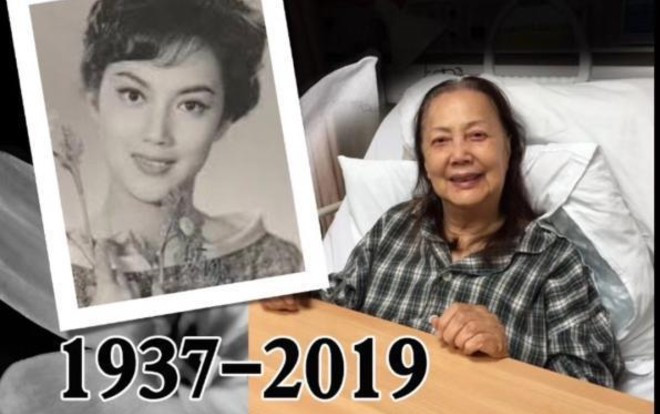 Diễn viên TVB Hạ Bình qua đời ở tuổi 81 Ảnh 2