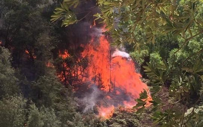 Nghi dân đốt vàng mã rằm tháng 7 gây cháy rừng ở Nghệ An Ảnh 2