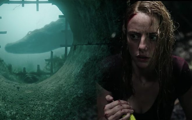 Siêu phẩm cá sấu tử thần 'Crawl' kinh dị và bạo lực đến mức nào? Ảnh 2