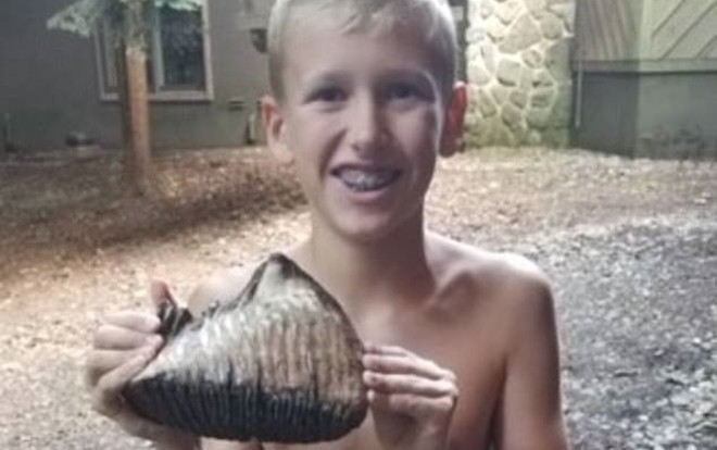 Cậu bé tìm thấy răng hàm của voi ma mút tuyệt chủng cách đây 4.000 năm Ảnh 2