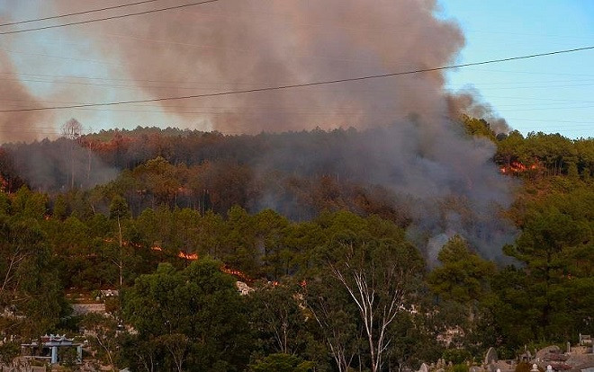 Núi Ngũ Phong ở Thừa Thiên - Huế cháy lớn, uy hiếp đường dây cao thế 220KV nghi do đốt vàng mã Ảnh 2