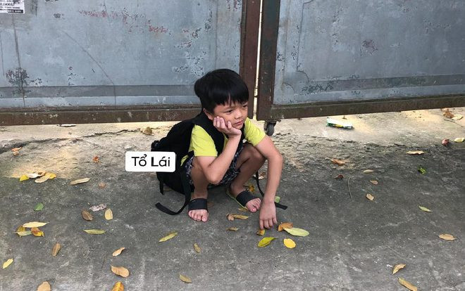 Hình ảnh cậu nhóc bị crush cho leo cây trước cổng trường vào ngày nhập học khiến CĐM bật cười với tình yêu 'chưa kịp nở đã tàn' Ảnh 2