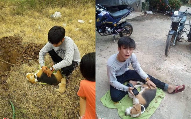 Loạt ảnh khiến bất kỳ ai nuôi chó cũng muốn rơi nước mắt: Chàng trai đau đớn chứng kiến người bạn 4 chân ra đi Ảnh 2